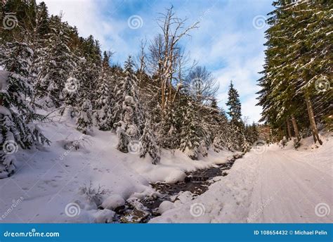 Snow Covered Road Along The Path Through Forest Stock Photo Image Of