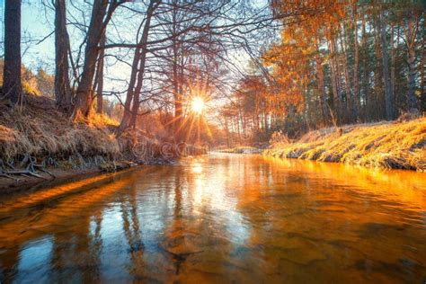 Fall Autumn Dawn Clear River In Forest Stock Image Image Of