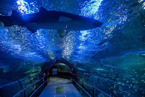 aquarium - In 12 uur