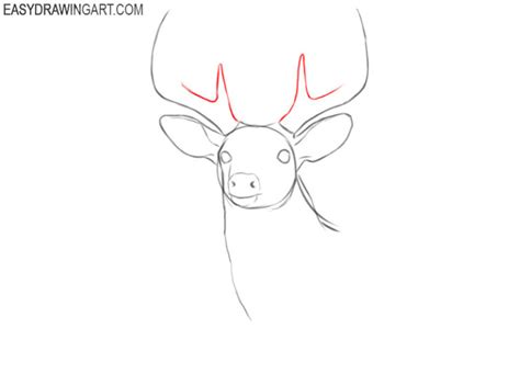 How To Draw A Deer Head Easy Drawing Art