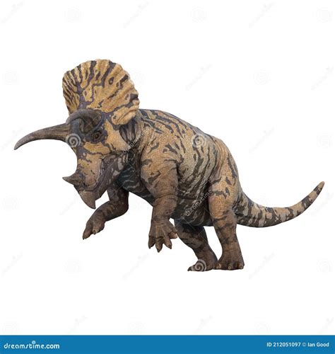 Triceratops Dinosaurio De Pie En Patas Traseras 3d Ilustración Aislado Sobre Fondo Blanco Imagen