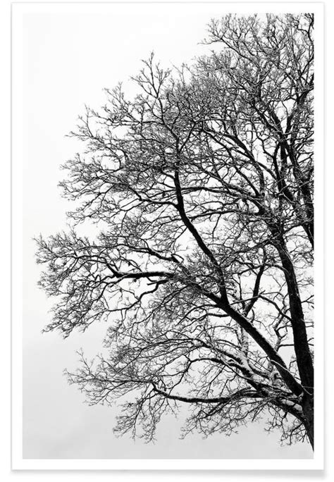 Black And White Abstract Winter Tree Poster Juniqe