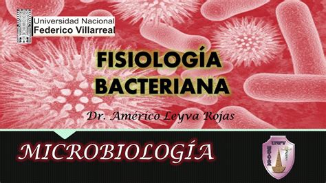 FisiologÍa Bacteriana Youtube