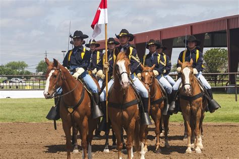 Dvids Images 1st Cavs Horse Detachment Welcomes First Female