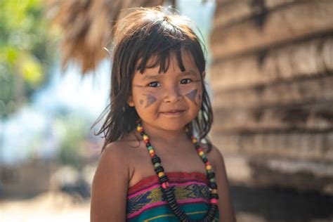 1 600 Indien Amazonie Photos Taleaux Et Images Libre De Droits Istock