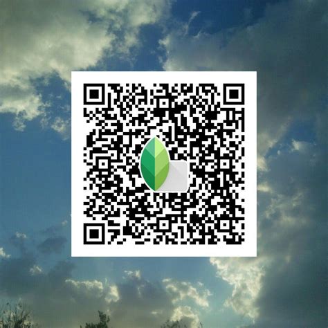 Snapseed Qr Code For Vibrant Sky Skyfilters Snapseed