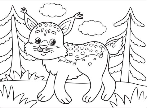 Bobcat Coloring Page Colouringpages