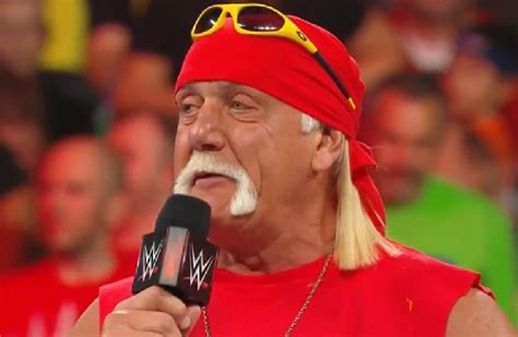 Hulk Hogan Used Very Interesting Words On Wwe Raw To Separate Himself