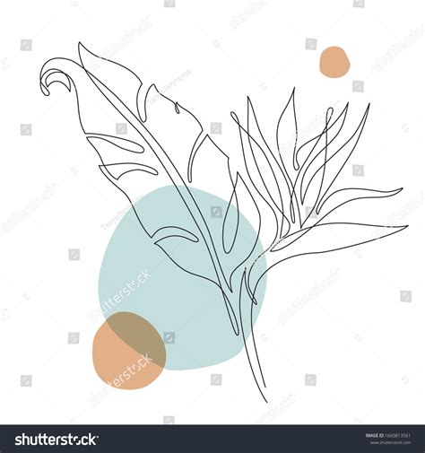 Abstract One Line Art Tropical Flower Stock Vector Royalty Free