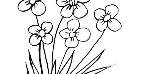 Sketsa Bunga Teratai Hitam Putih Mewarnai Bunga Rumput Contoh