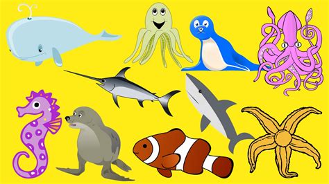 Learn Ocean Animal Names For Kids Sea Animal Names Kids Series 4