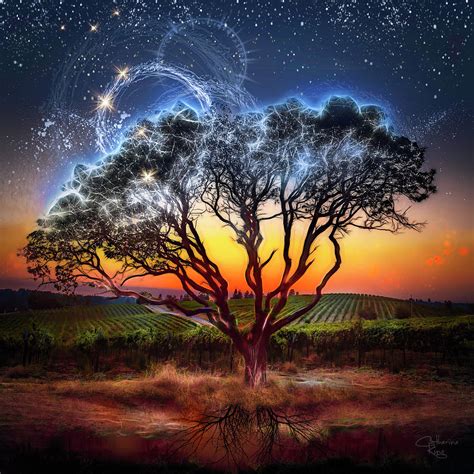 The Magic Tree Digital Art By Catherine King Pixels