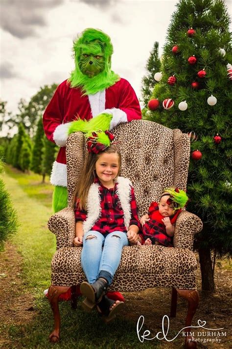 A Photographer Staged A Grinch Themed Holiday Photo Shoot And It Does