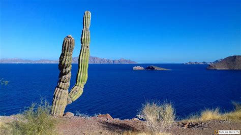 What Is Loreto Mexico Known For Tourism Company And Tourism