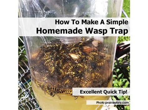 How To Make A Simple Homemade Wasp Trap