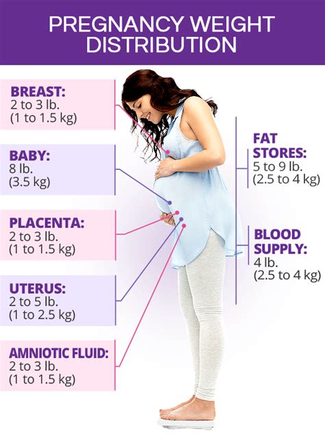 Pregnancy Weight Gain Chart By Week Kg Encycloall