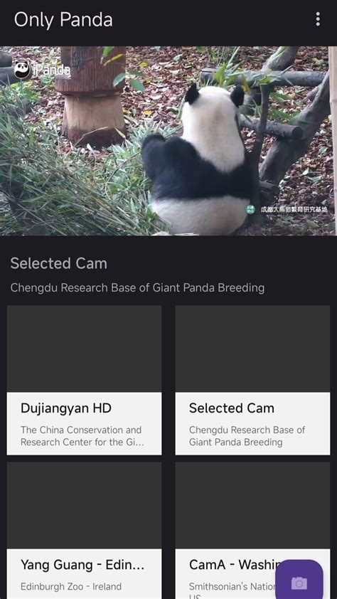 Panda Cam Apk For Android Download