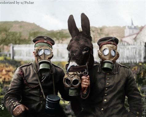 Two German Soldiers And Their Mule Wearing Gas Masks 1916 Colorized