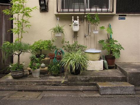 Tokyo Potted Gardens Small Japanese Garden Japanese House Outdoor