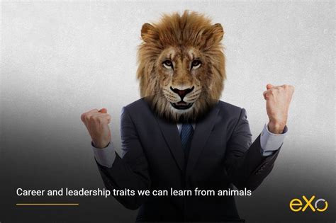 6 Leadership And Career Lessons We Can Learn From Animals Exo Platform
