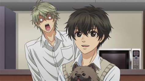 details more than 77 anime like super lovers in duhocakina
