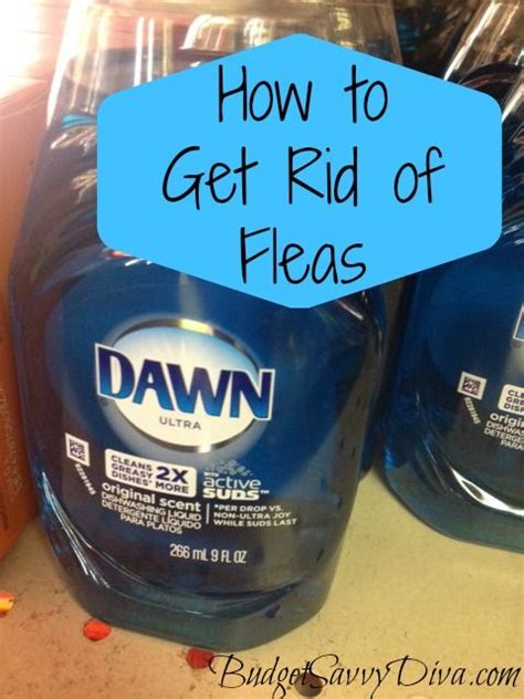 There are different ways to remove fleas from medications to there are four steps to rid your dog of fleas. Does your dog or cat have fleas? Check out this at-home ...