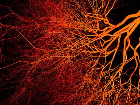 Blood Vessel Abstract Stock Photos Pictures And Royalty Free Images Istock