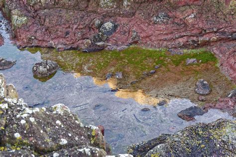 Rockpool Sea Beach Water Reflection Free Image From Needpix Com