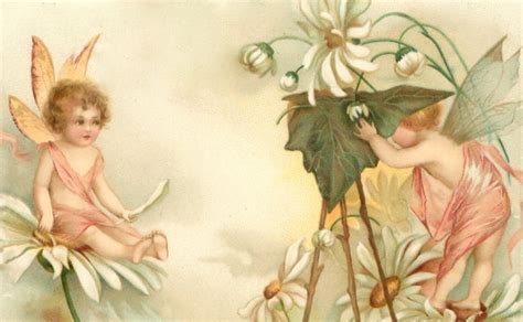 Bumble Button Adorable Turn Of The Century Baby Fairies