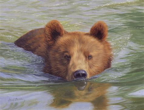 Brown Bear Painting Painting By David Stribbling