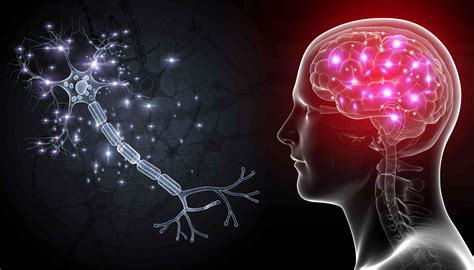 How Brain Cells Communicate With Each Other