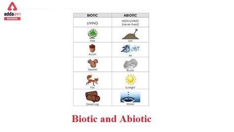Biotic And Abiotic Factors Examples Differences Adda