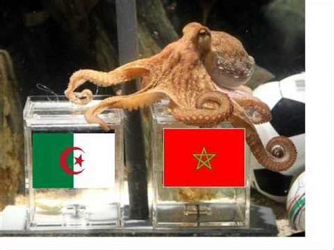Soutenir la chaîne maroc24 sur patreon: Maroc vs Algerie 27 Mars 2011 - YouTube