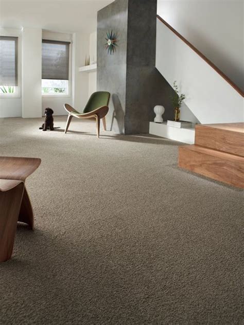 Inspiration Gallery Stainmaster Carpet Inspiration Contemporary