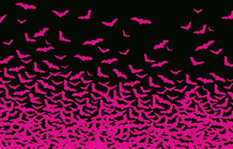 If you post someone else's gif, please give credit. Cool GIF - Find & Share on GIPHY