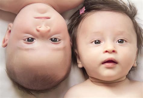 Can Fraternal Twins Be The Same Gender