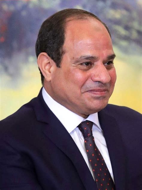 الرئيس السادس والحالي لجمهورية مصر العربية. عبد الفتاح السيسي - ويكيبيديا