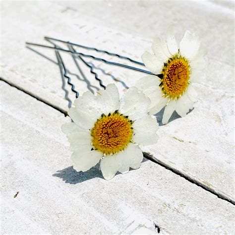 ️these Daisies Have Been Pressed And Set In Resin Then Adhered To Blank