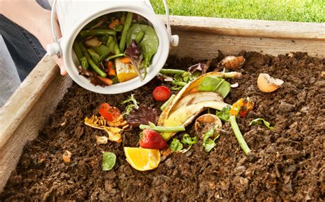 Residuos Orgánicos ¿cómo Hacer Compost En Casa