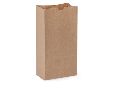 Brown Paper Bags 100 Recycled 12 Lb Bags Nashville Wraps