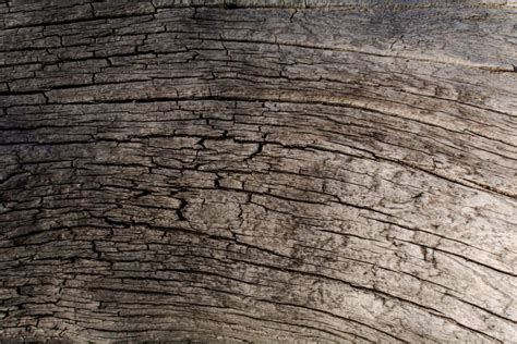 Dry Wood Log Texture Copyright Free Photo By M Vorel Libreshot