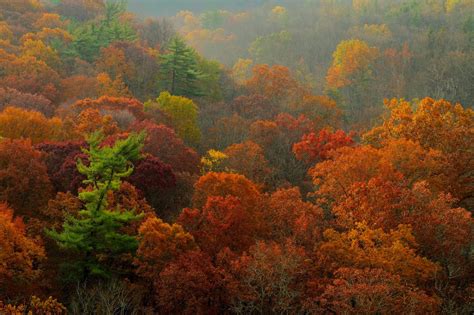 Josh Friedman Photography Autumn Woods Hdr Photographs