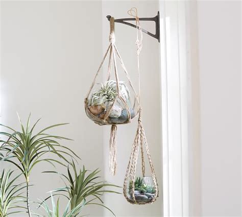 Hanging Glass Terrarium With Rope Pottery Barn