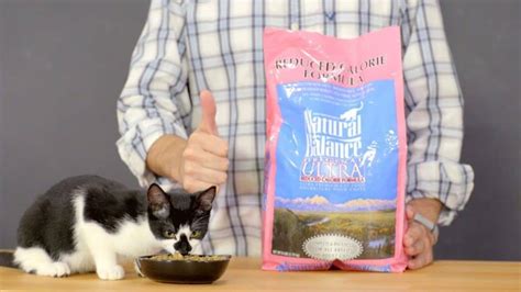 No illnesses in dogs were ever reported and none of the company's recalled products tested positive. Purina Naturals Indoor Cat Food Recall