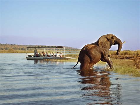 Victoria Falls And Chobe National Park Safari Holiday Package