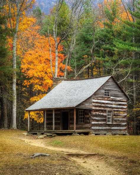 Cabin In The Woods Photograph By Charlie Choc Fine Art America