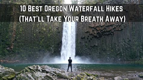 12 Best Oregon Waterfall Hikes Thatll Take Your Breath Away