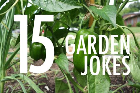 Csm home and garden, doral, fl. 15 Garden Jokes - FoodCorps