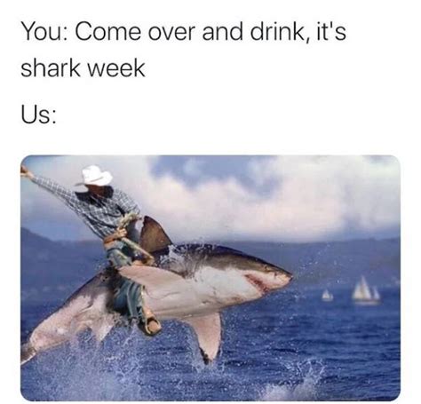 Take A Bite Out Of These Shark Week Memes 28 Pics 2 S