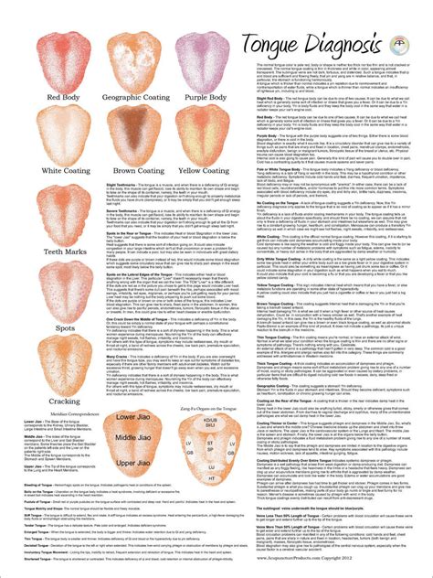 Chinese Tongue Diagnosis Poster Clinical Charts And Supplies